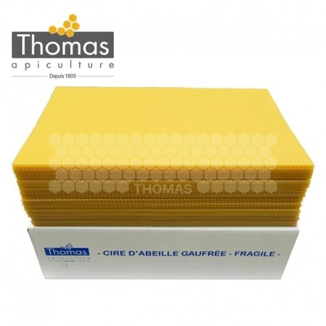 Feuilles De Cire Gaufrées 5 Kg Dadant Corps Thomas®(carton 50 Pièces) 3 Feuilles De Cire Gaufrées 5 Kg Dadant Corps Thomas®(carton 50 Pièces)