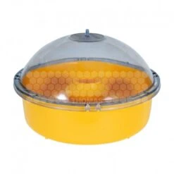 Piège à Guêpes Et Frelons Plastique Très Résistant (sans Attractif)