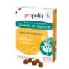 Gommes Propolis Miel Eucalyptus 1 Gommes Propolis Miel Eucalyptus -Magasin De Matériel Apicole propolia gommes de propolis miel et eucalyptus sachet de 45 g