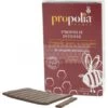 PROPOLIA - PROPOLIS PURE A MACHER (PLAQUETTE 10 G) -Magasin De Matériel Apicole propolia propolis pure a macher plaquette 10 g