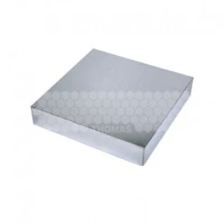 Toit Tôle Galva Dadant 12 Cadres